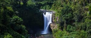 Bali Kintamani and Tegenungan Waterfall Tour -Header Image 130119