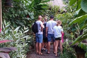 Luwak Coffee Plantation - Honeybee Farm 1301191
