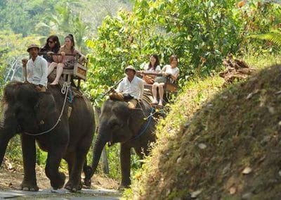 Bali Elephant Camp Tour - Gallery 090720191