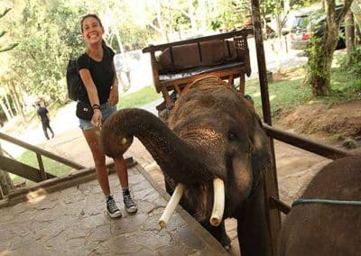 Bali Elephant Camp Tour - Gallery 0907201911