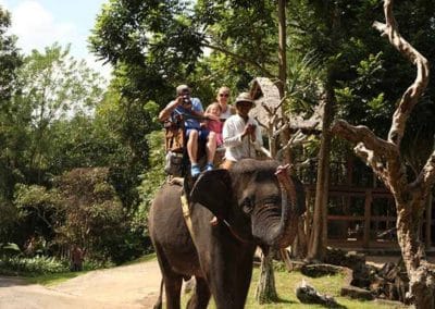 Bali Elephant Camp Tour - Gallery 0907201913