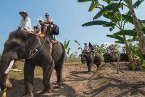 Bali Elephant Camp Tour - Gallery 0907201915