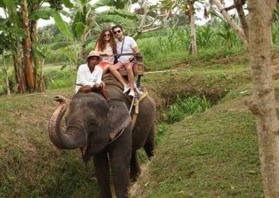 Bali Elephant Camp Tour - Gallery 0907201916