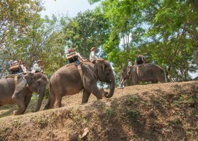 Bali Elephant Camp Tour - Gallery 0907201917