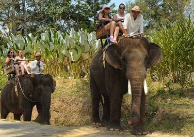 Bali Elephant Camp Tour - Gallery 0907201918