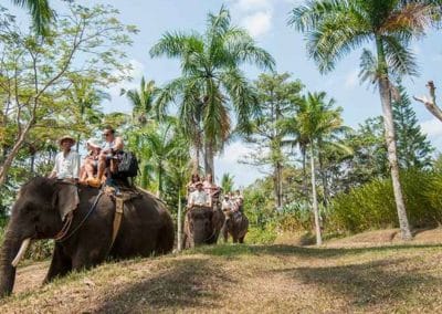 Bali Elephant Camp Tour - Gallery 0907201919