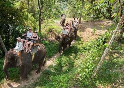 Bali Elephant Camp Tour - Gallery 0907201920