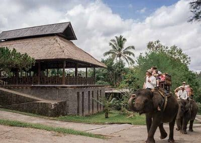 Bali Elephant Camp Tour - Gallery 090720193