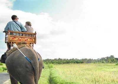 Bali Elephant Camp Tour - Gallery 090720194