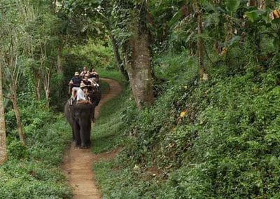 Bali Elephant Camp Tour - Gallery 090720199