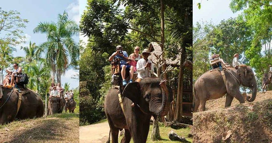 Bali Elephant Camp Tour