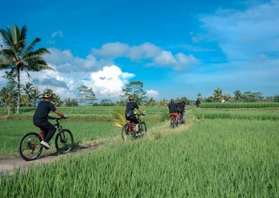 Bali Ubud Bike Tour -Gallery 03072019131