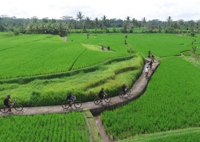 Bali Ubud Bike Tour -Gallery 030720199