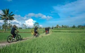 Bali Ubud Bike Tour