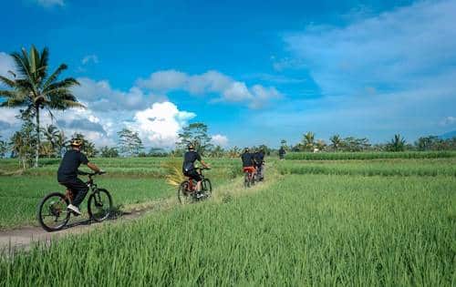 Bali Quad Bike or ATV Ride Tour 