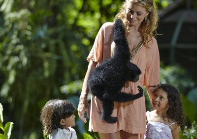 Bali Zoo Animal Encounter With Siamang Gibbon