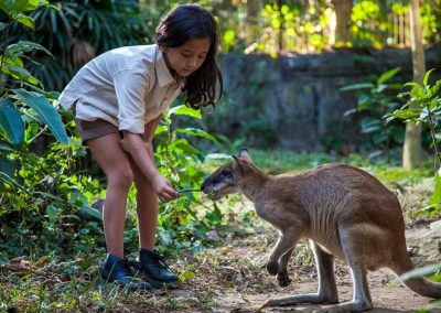 Bali Zoo Deer Park