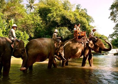 Bali Zoo Elephant Safari Ride Tour - Galerry 120720191