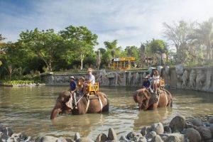 Bali Zoo Elephant Safari Ride Tour - Galerry 120720192