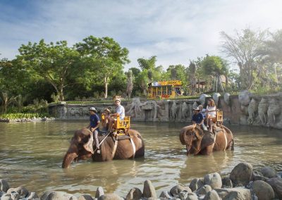 Bali Zoo Elephant Safari Ride Tour - Galerry 120720192