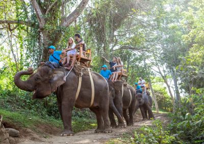 Bali Zoo Elephant Safari Ride Tour - Galerry 120720193