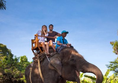 Bali Zoo Elephant Safari Ride Tour - Galerry 120720194