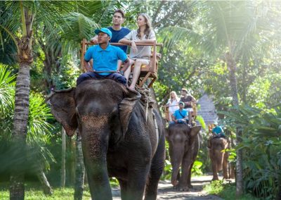 Bali Zoo Elephant Safari Ride Tour - Galerry 120720195