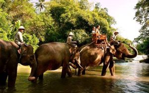 Bali Zoo Elephant Safari Ride Tour