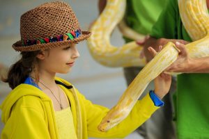 Bali Zoo Snake Encounter