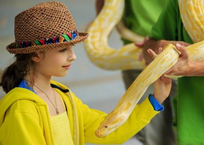 Bali Zoo Snake Encounter