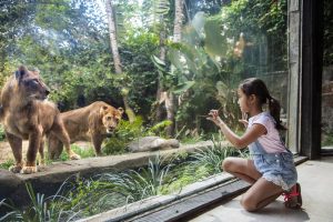 Bali Zoo Wana Restaurant 01