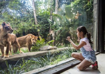 Bali Zoo Wana Restaurant 01