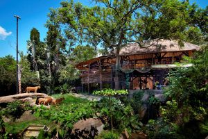 Bali Zoo Wana Restaurant 02