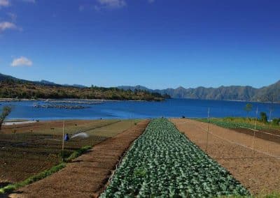 Mount Batur Sunrise Trekking - Gallery 300620199