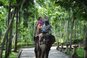 Bali Bakas Elephant Ride Tour - Gallery 1208191