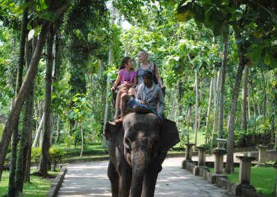 Bali Bakas Elephant Ride Tour - Gallery 1208191