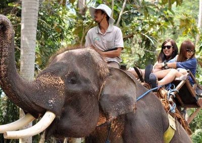 Bali Bakas Elephant Ride Tour - Gallery 12081913