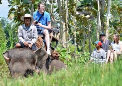 Bali Bakas Elephant Ride Tour - Gallery 12081915