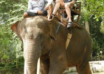 Bali Bakas Elephant Ride Tour - Gallery 12081916