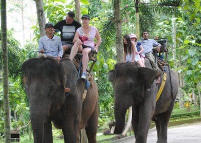Bali Bakas Elephant Ride Tour - Gallery 1208193
