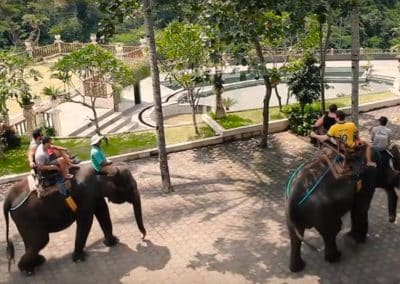 Bali Bakas Elephant Ride Tour - Gallery 1208195