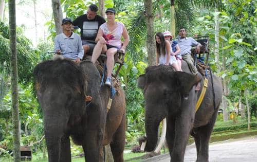 Bali Quad Bike or ATV Ride Tour