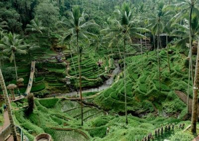 Bali Ubud Swing Tour - Gallery 100920191