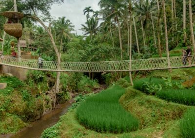 Bali Ubud Swing Tour - Gallery 1009201918