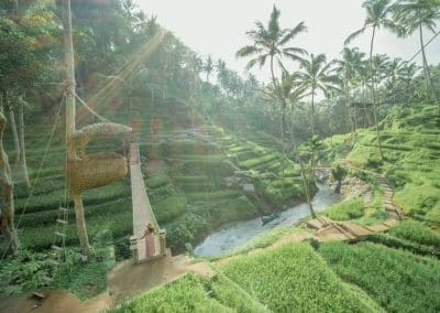 Bali Ubud Swing Tour - Gallery 100920192