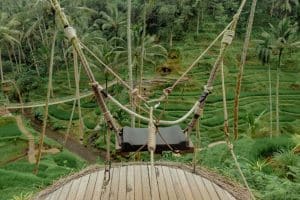 Bali Ubud Swing Tour - Gallery 100920193