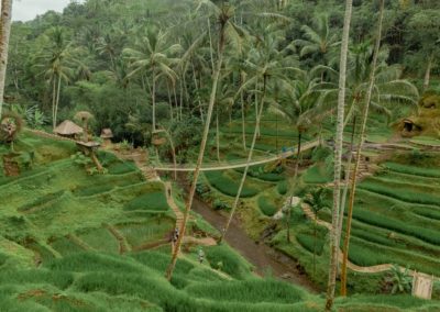 Bali Ubud Swing Tour - Gallery 100920196